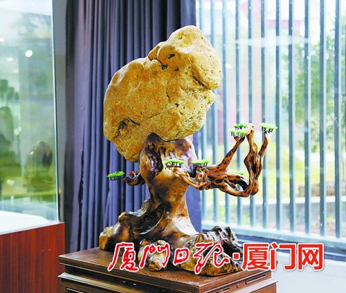 廈門首屆觀賞石博覽會(huì)昨開幕 萬件奇石珍品集體亮相