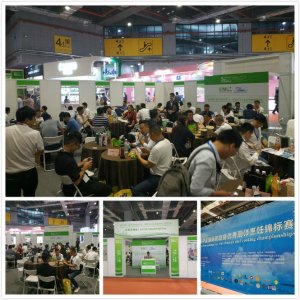 2021中國國際航空、郵輪及